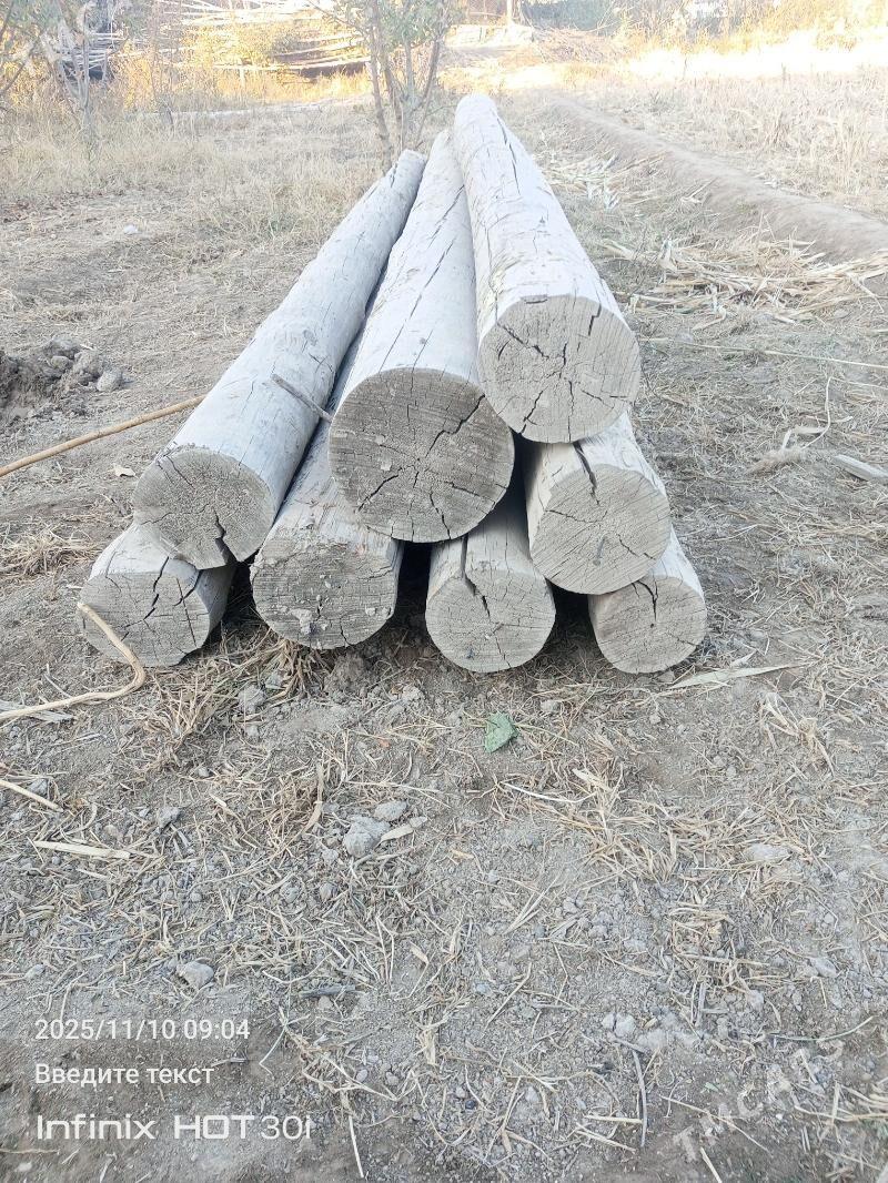 Рассик агач - Köneürgenç - img 3