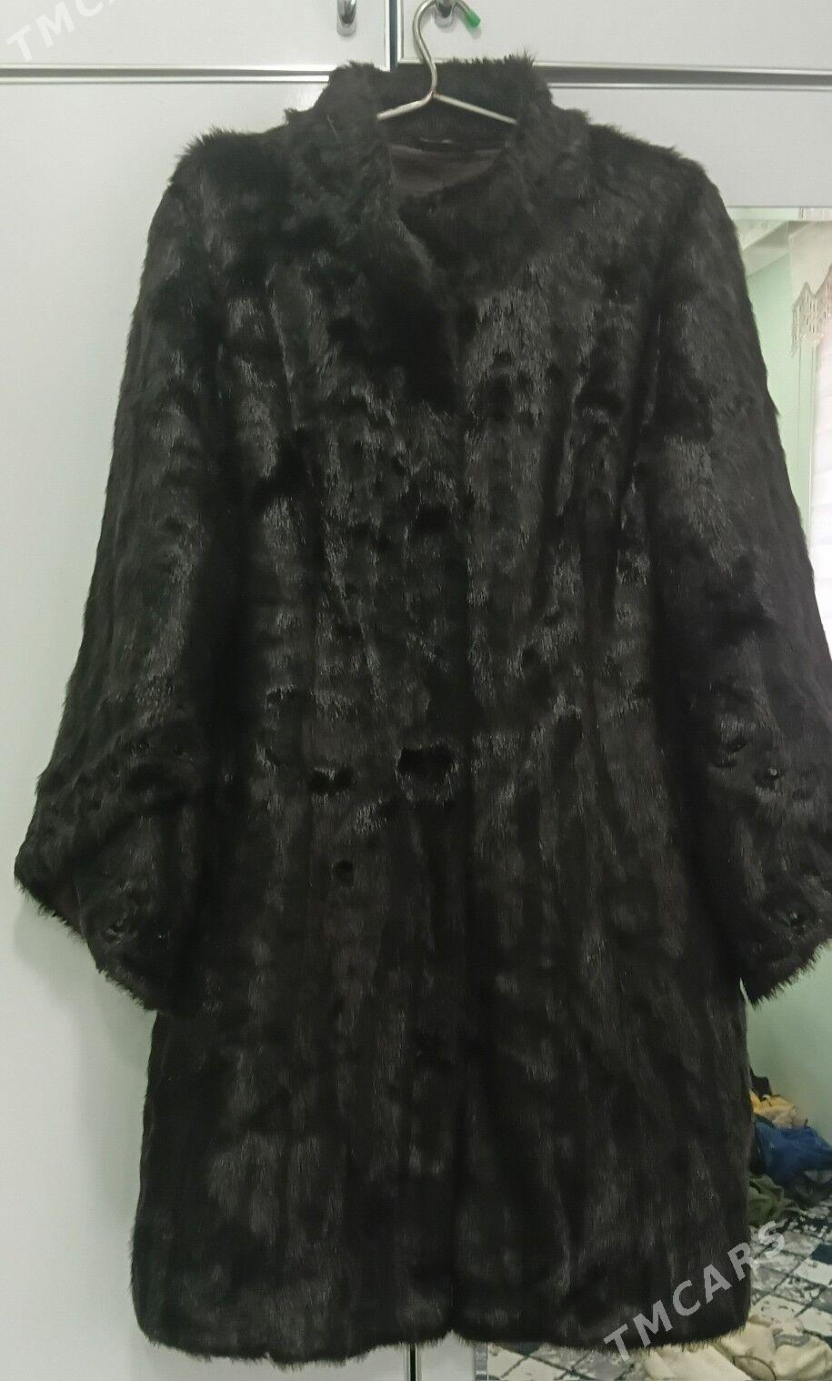 Gara suba - Aşgabat - img 1