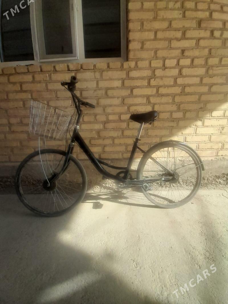 tigir - Änew - img 5