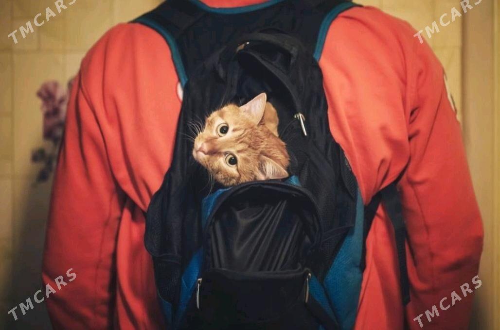 ryukzak - Türkmenbaşy - img 1