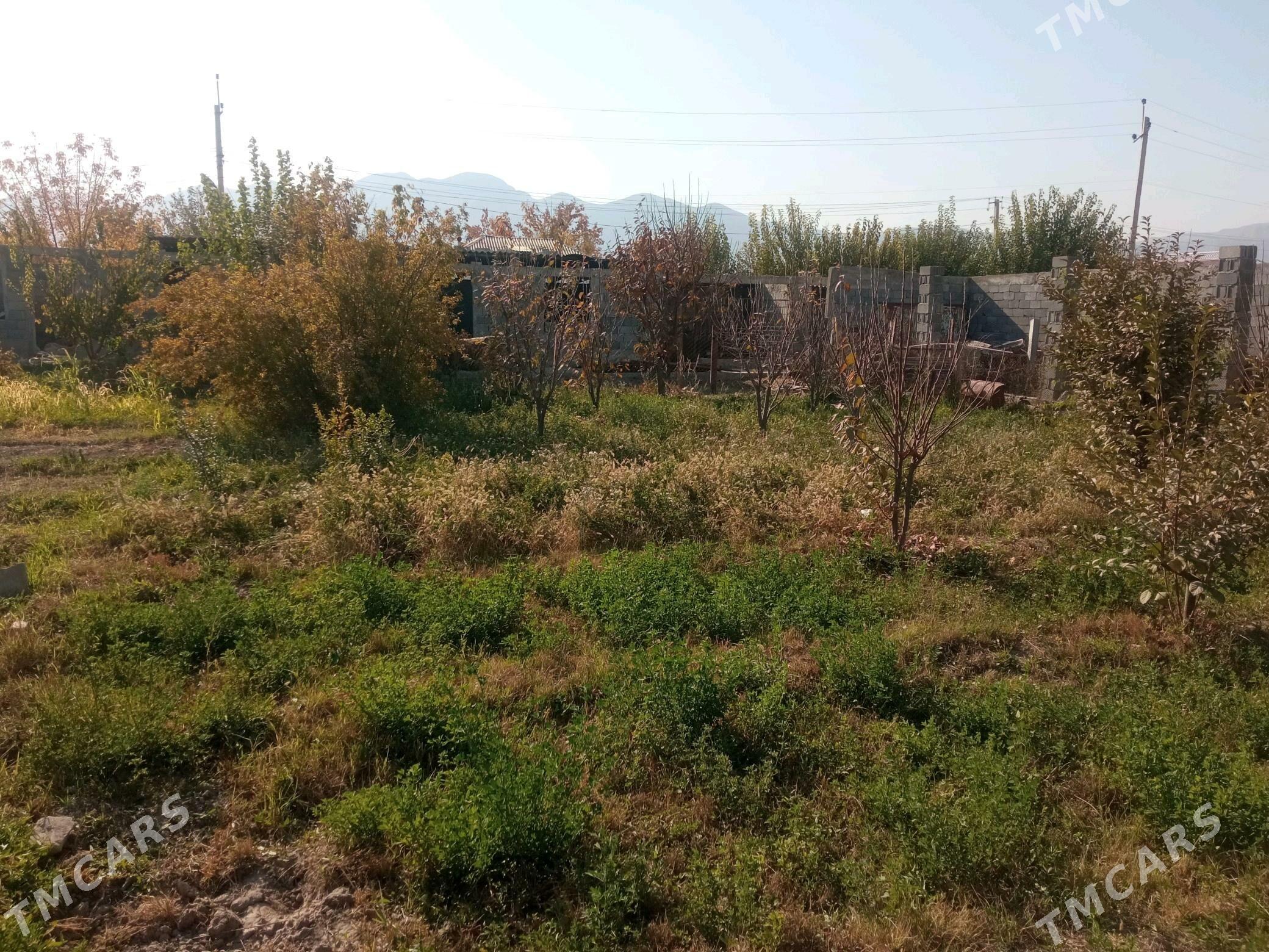 Mellek ýer - Bagyr - img 1