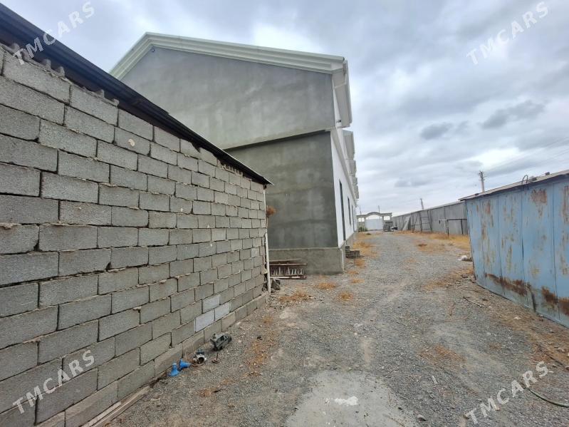 Satlyk Herikgala - Ашхабад - img 2