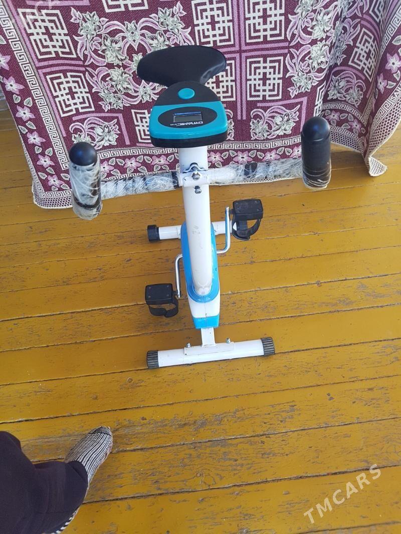 Tigir öyde sürülyân - Türkmenabat - img 2