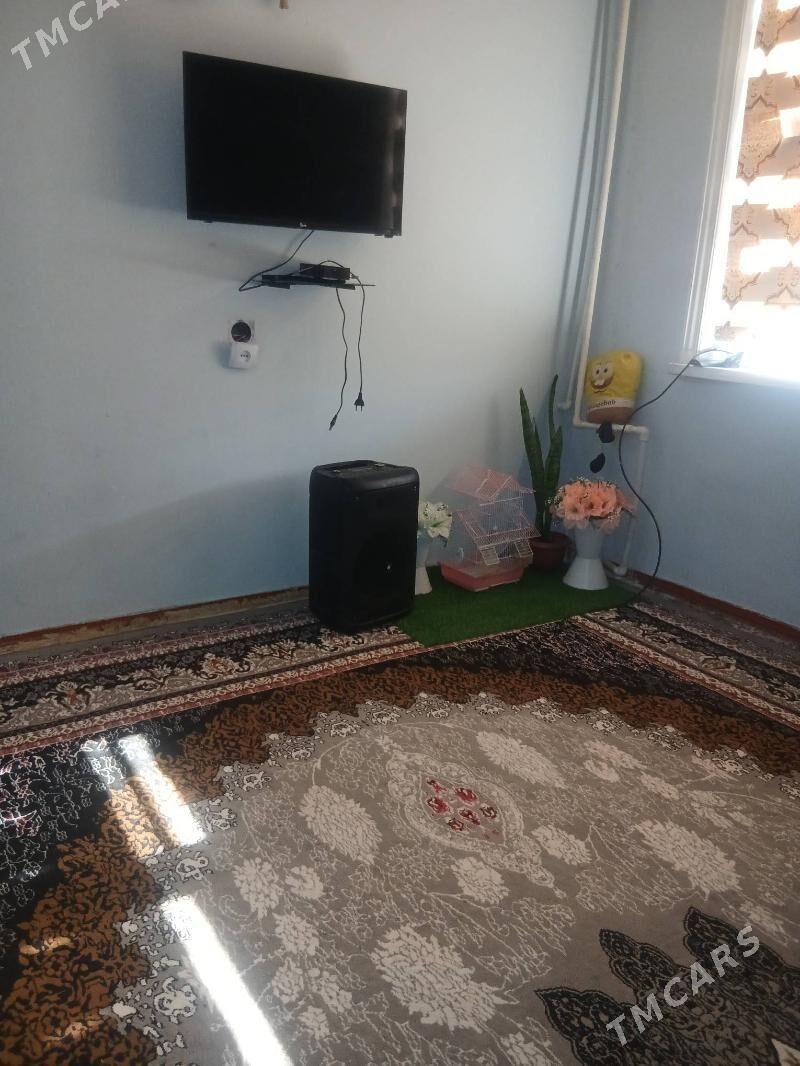 kreyna jay - Daşoguz - img 4