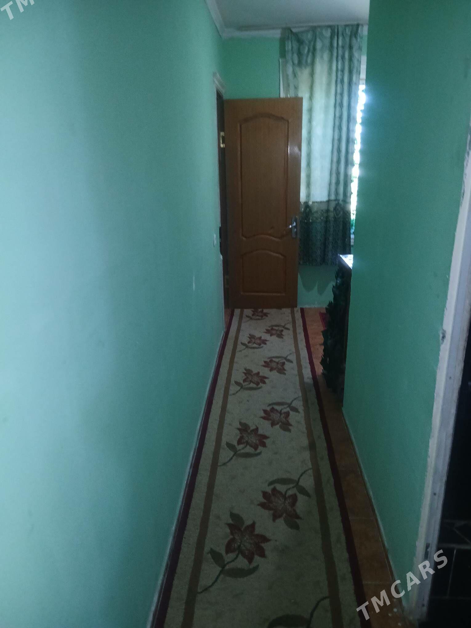 kreyna jay - Daşoguz - img 1