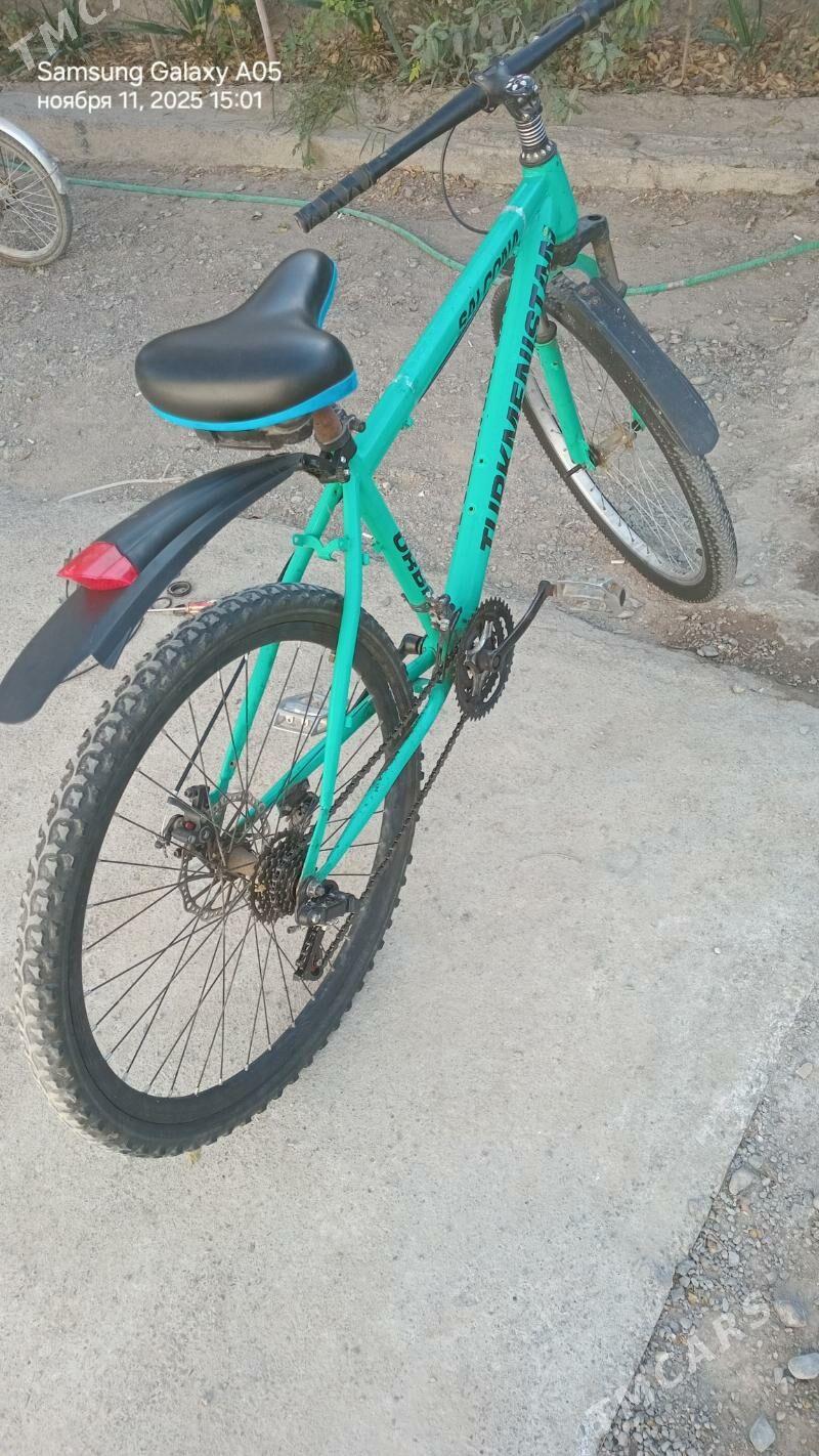 26 lik tigir - Gökdepe - img 2