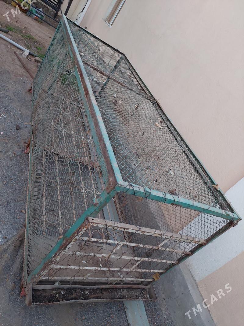 ketek - Чоганлы - img 2