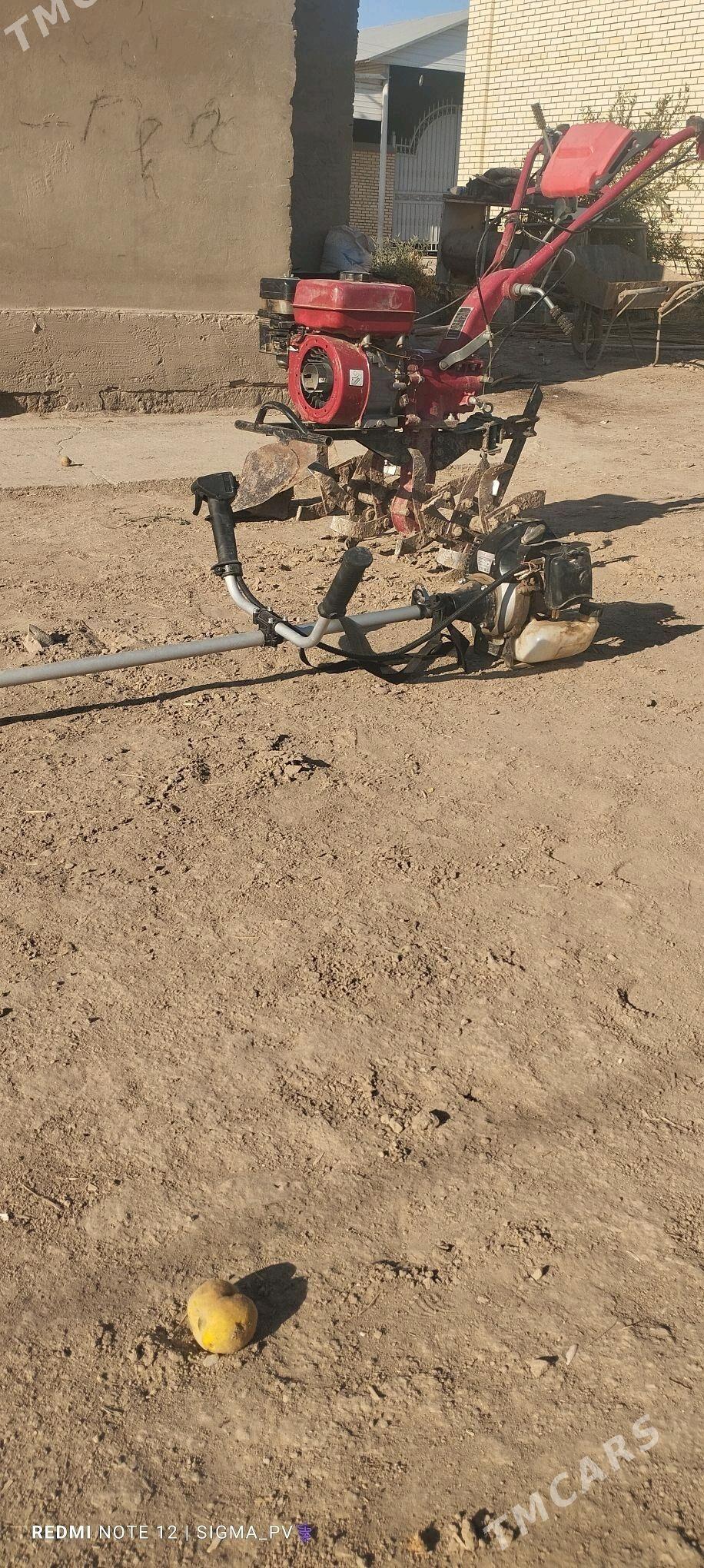 ot mator - Türkmengala - img 3