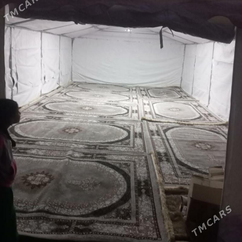 palatga - Mary - img 3