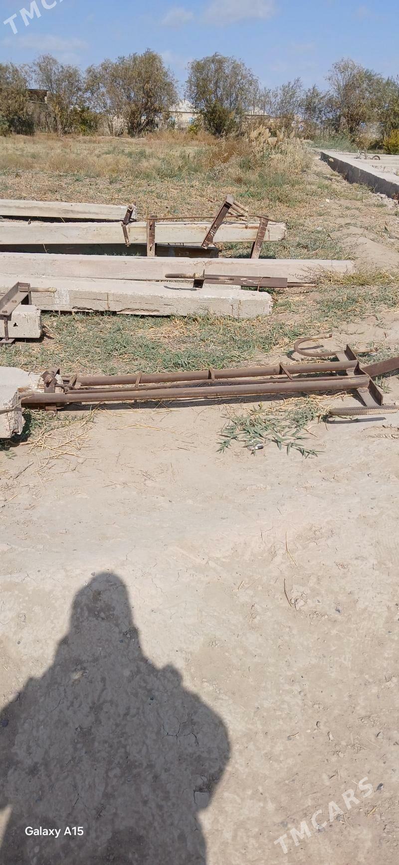 Stalba sym - Murgap - img 3