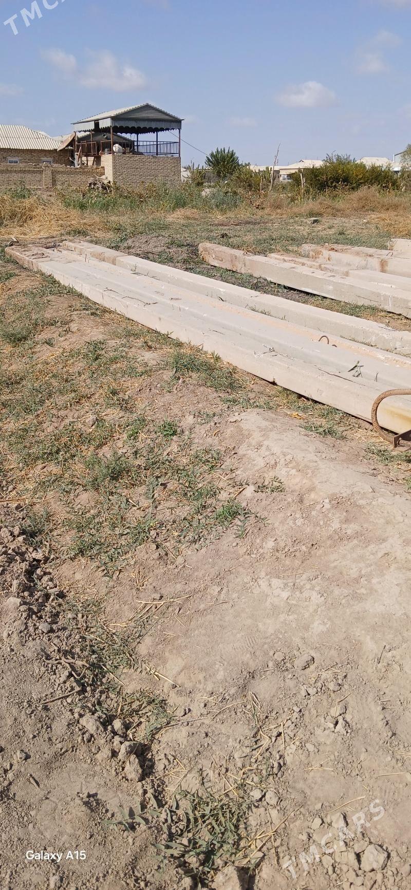 Stalba sym - Murgap - img 1