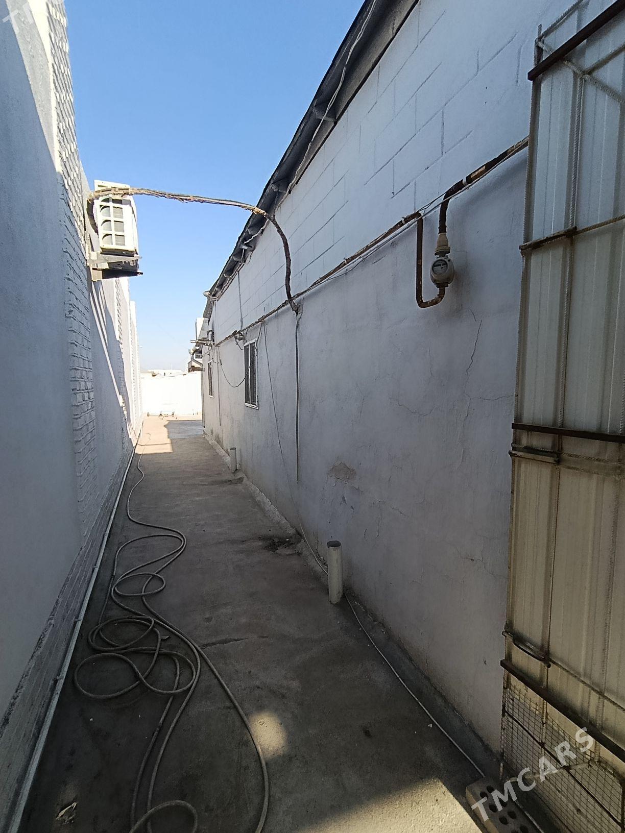 ️MUXAD 5 KM️ - Mary - img 6