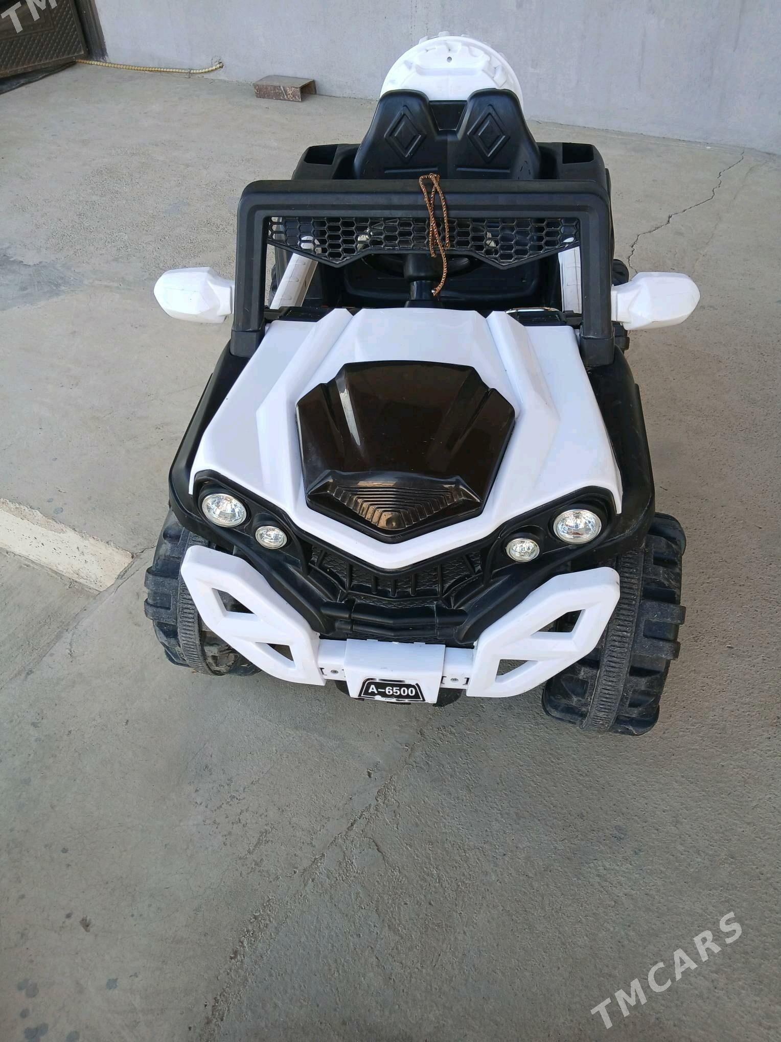 caga masyn - Багир - img 2