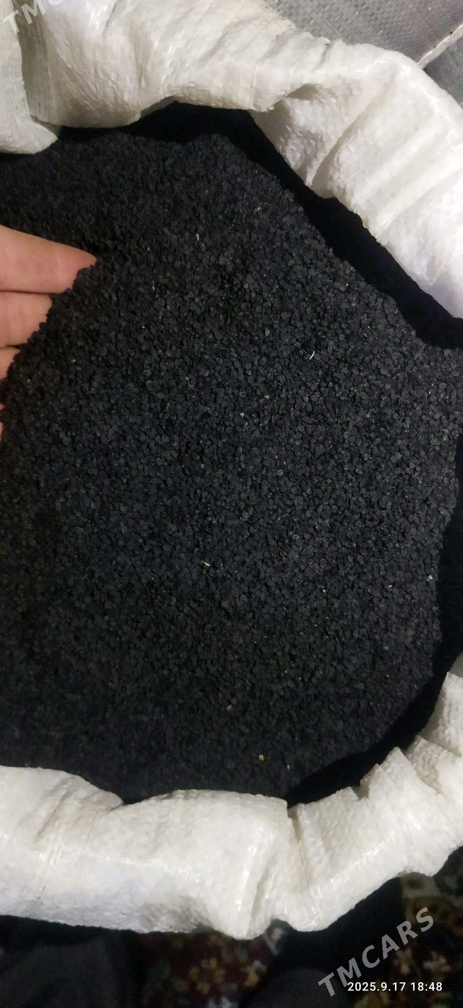 sogan tohum - Bäherden - img 1