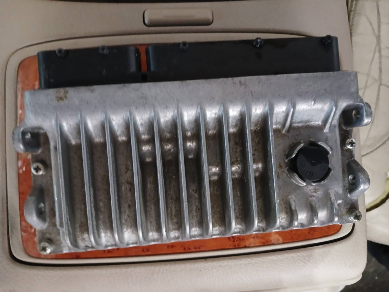 2.5 palta kamputet 2 000 TMT - Çoganly - img 1