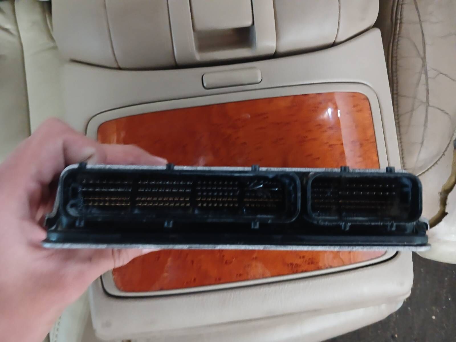 2.5 palta kamputet 2 000 TMT - Çoganly - img 3