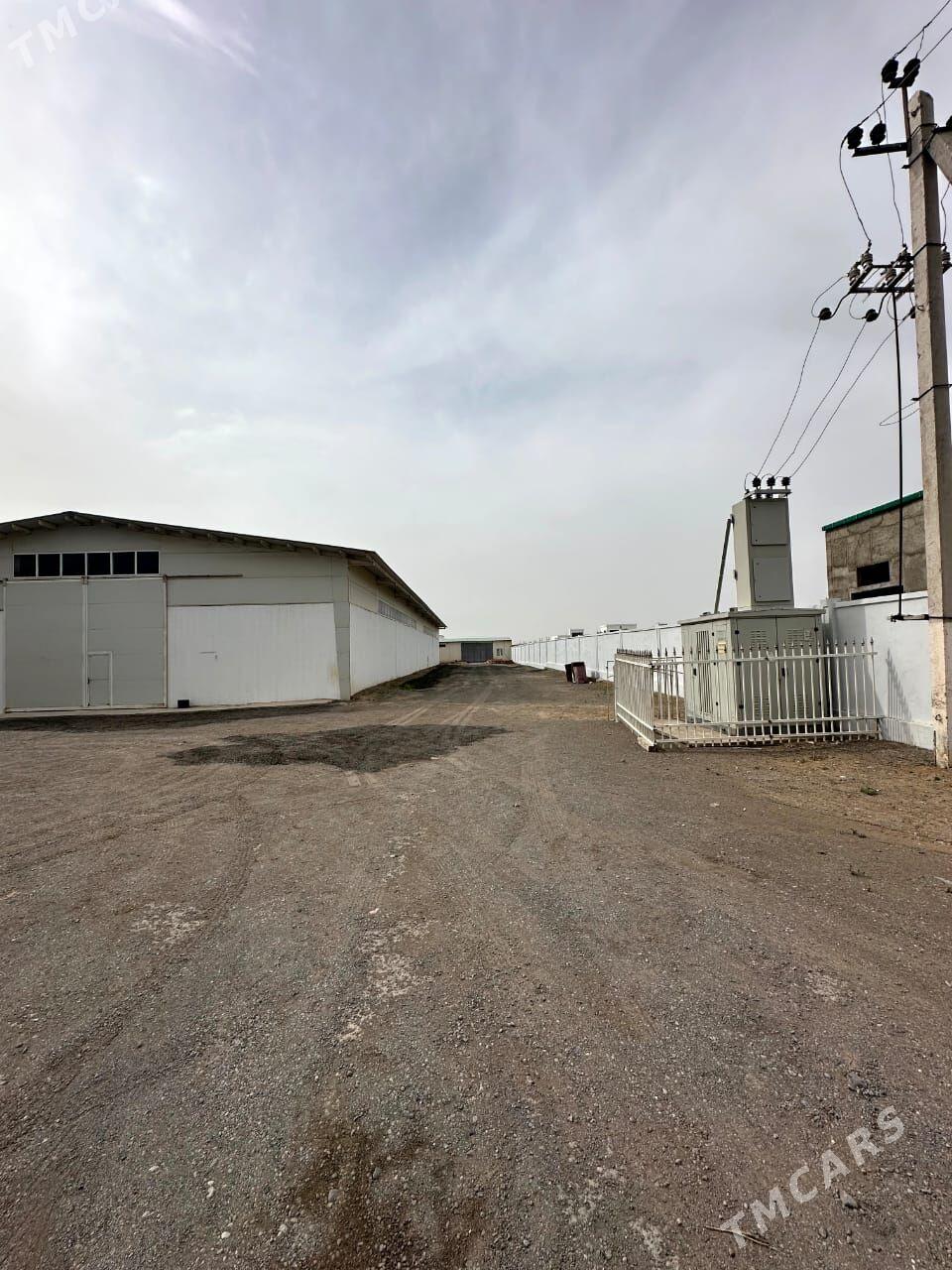 ПРОМ ЗОНА 1 ГЕКТАР - Aşgabat - img 3