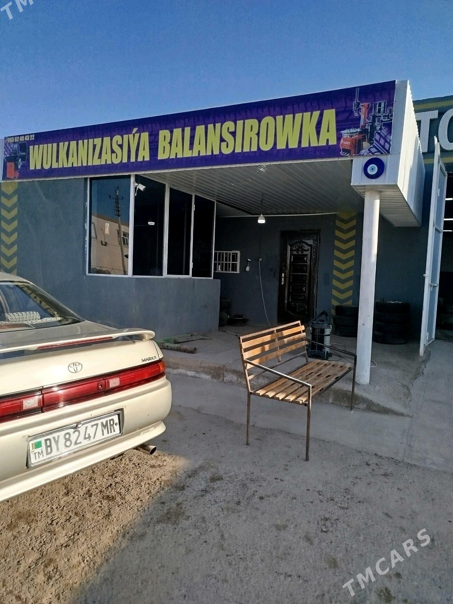 wulkanzasya isgar gerek - Mary - img 3