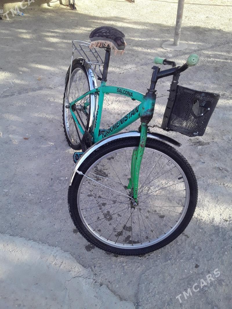 turkmenistan tigir - Änew - img 1