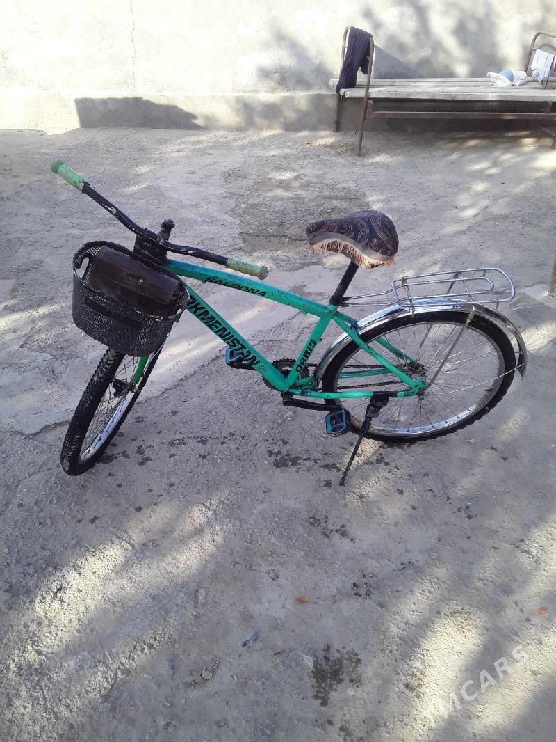 turkmenistan tigir - Änew - img 3