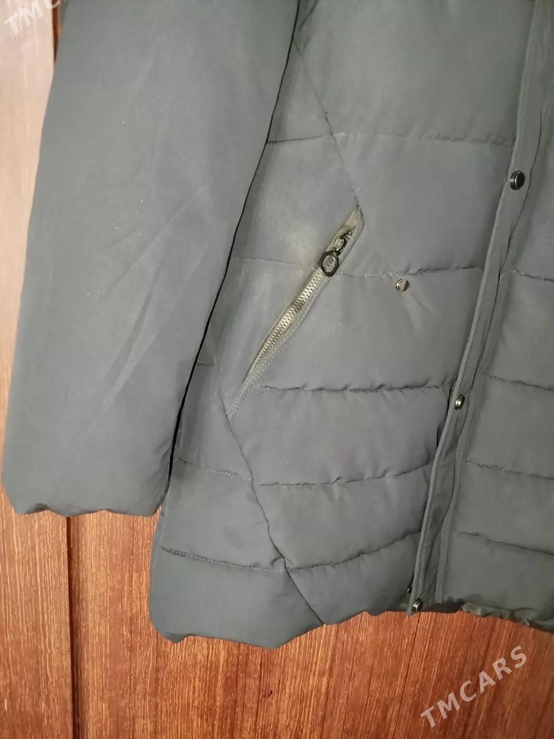 Kurtga galyň - Gumdag - img 5