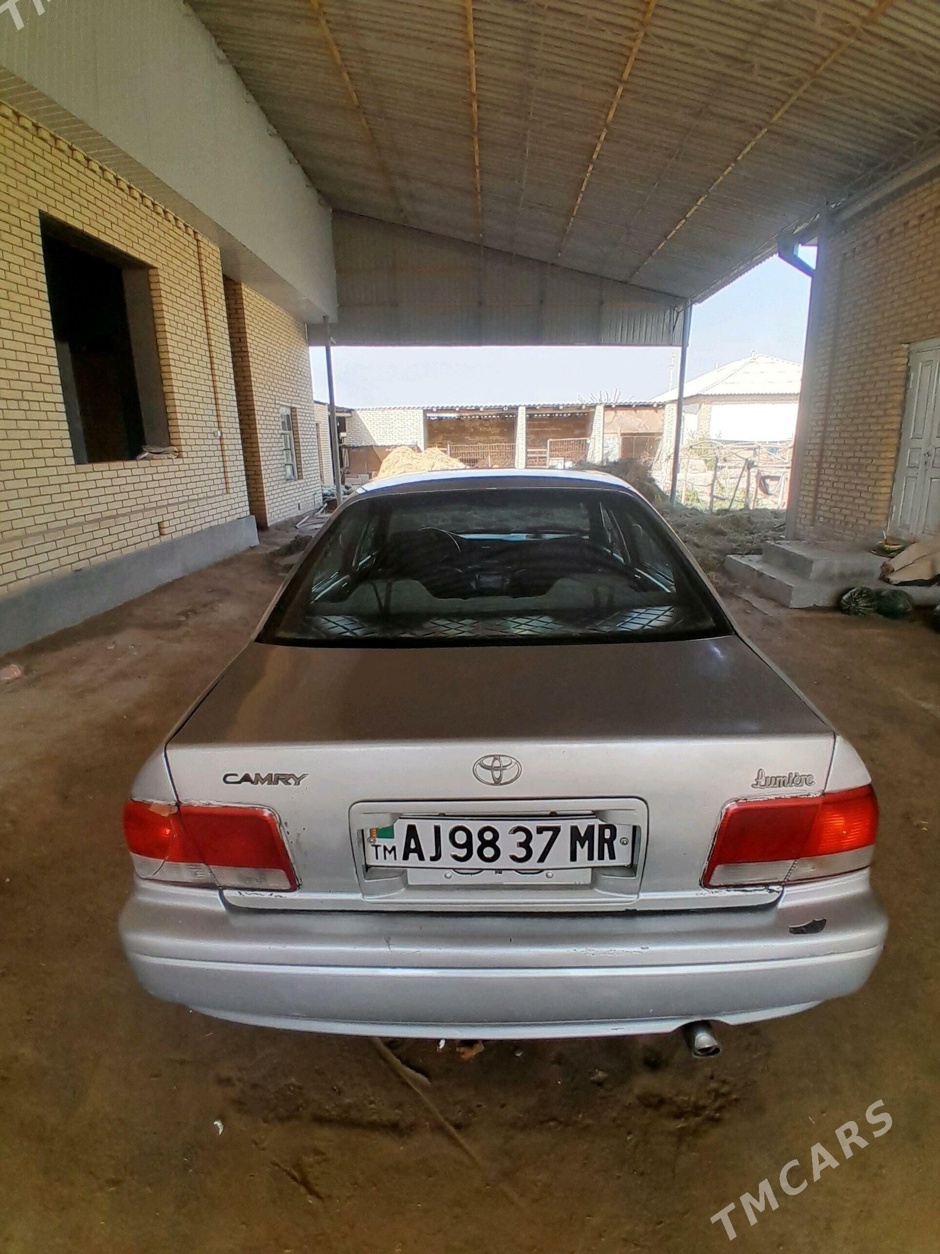 Toyota Camry 1994 - 46 000 TMT - Sakarçäge - img 6