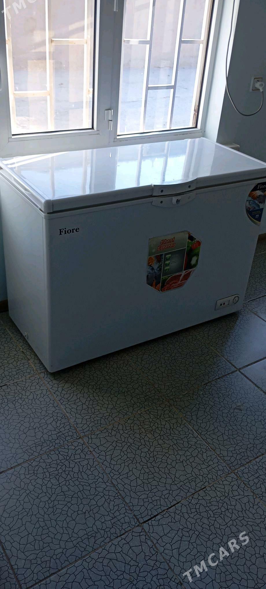 morozilnik - Теджен - img 2