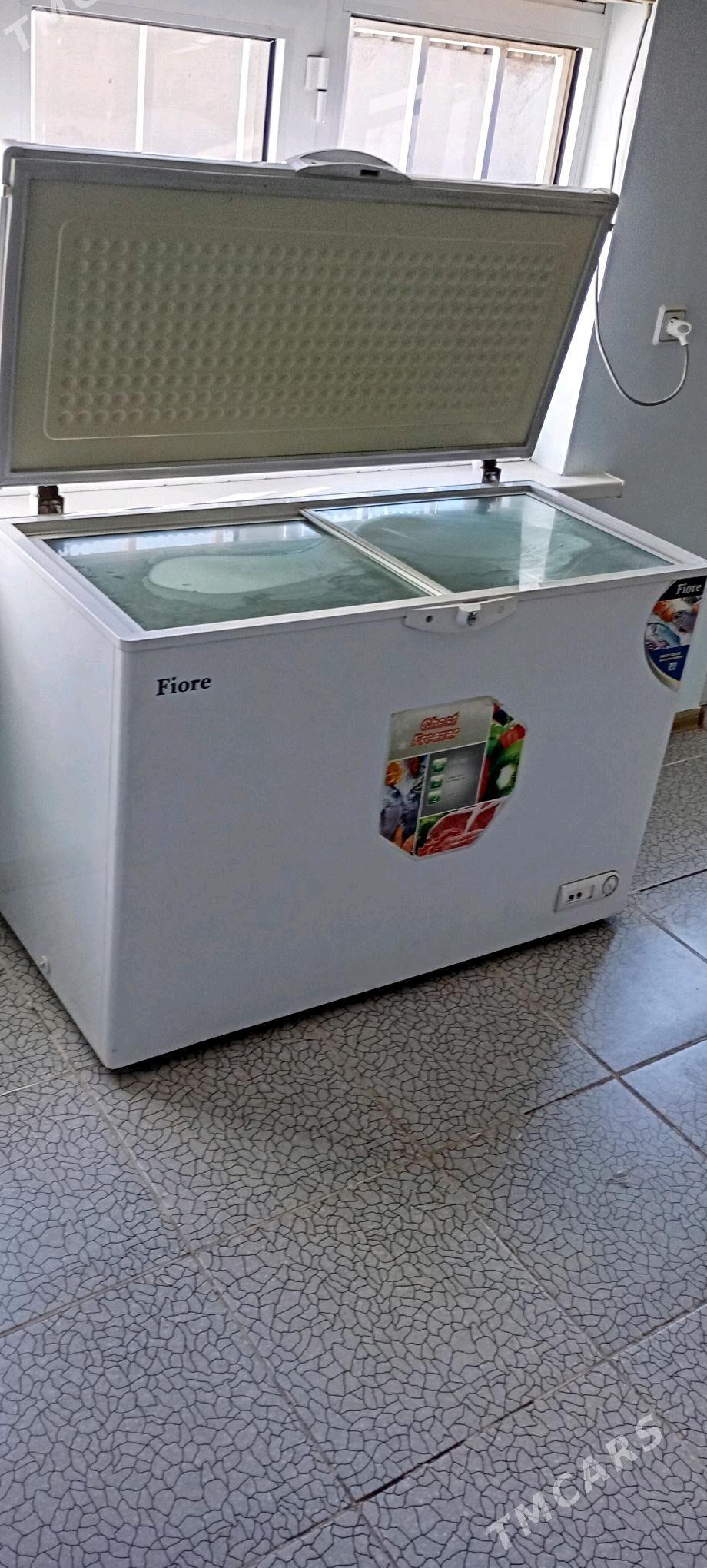 morozilnik - Теджен - img 1