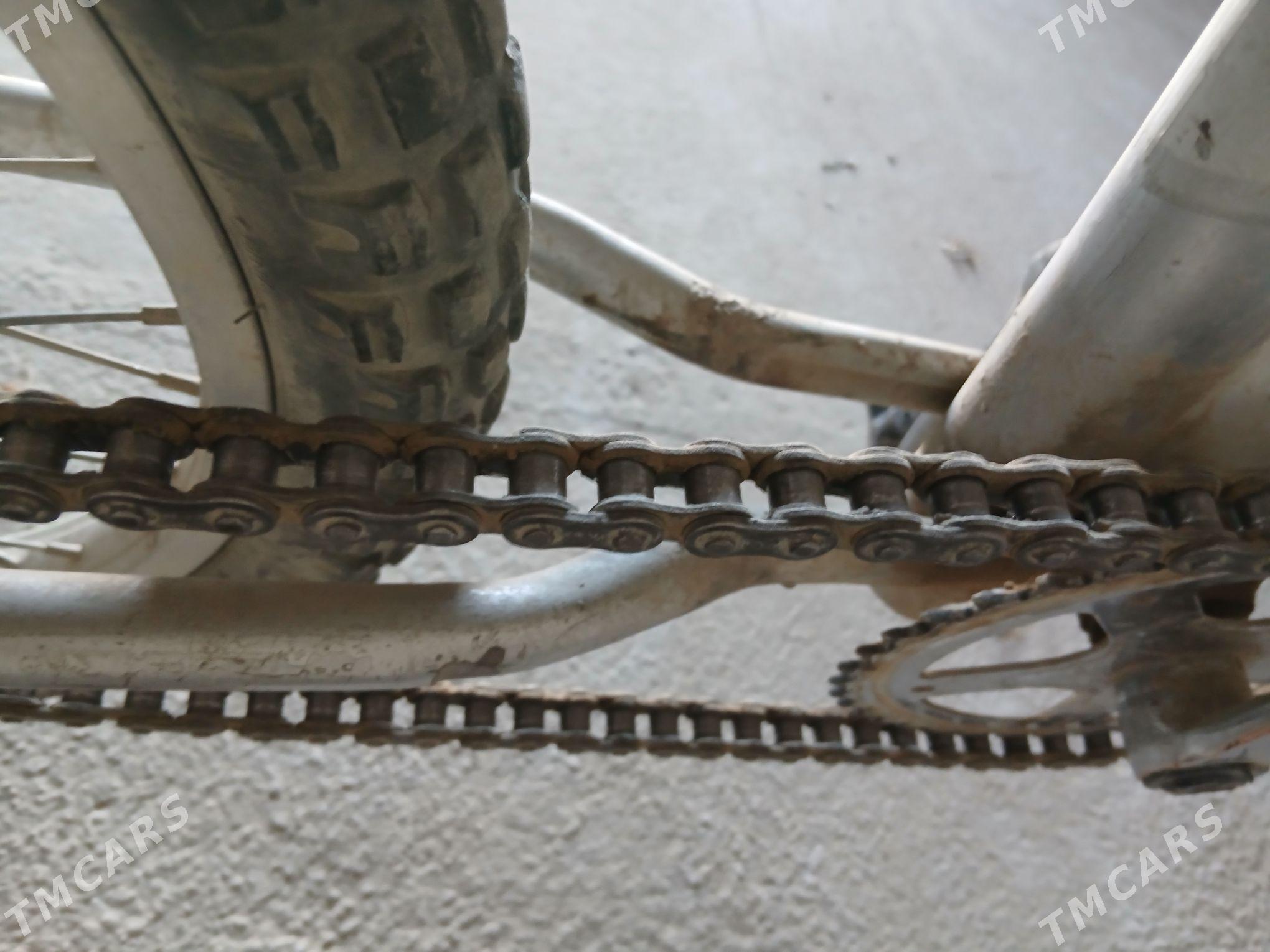 kama - Кака - img 4