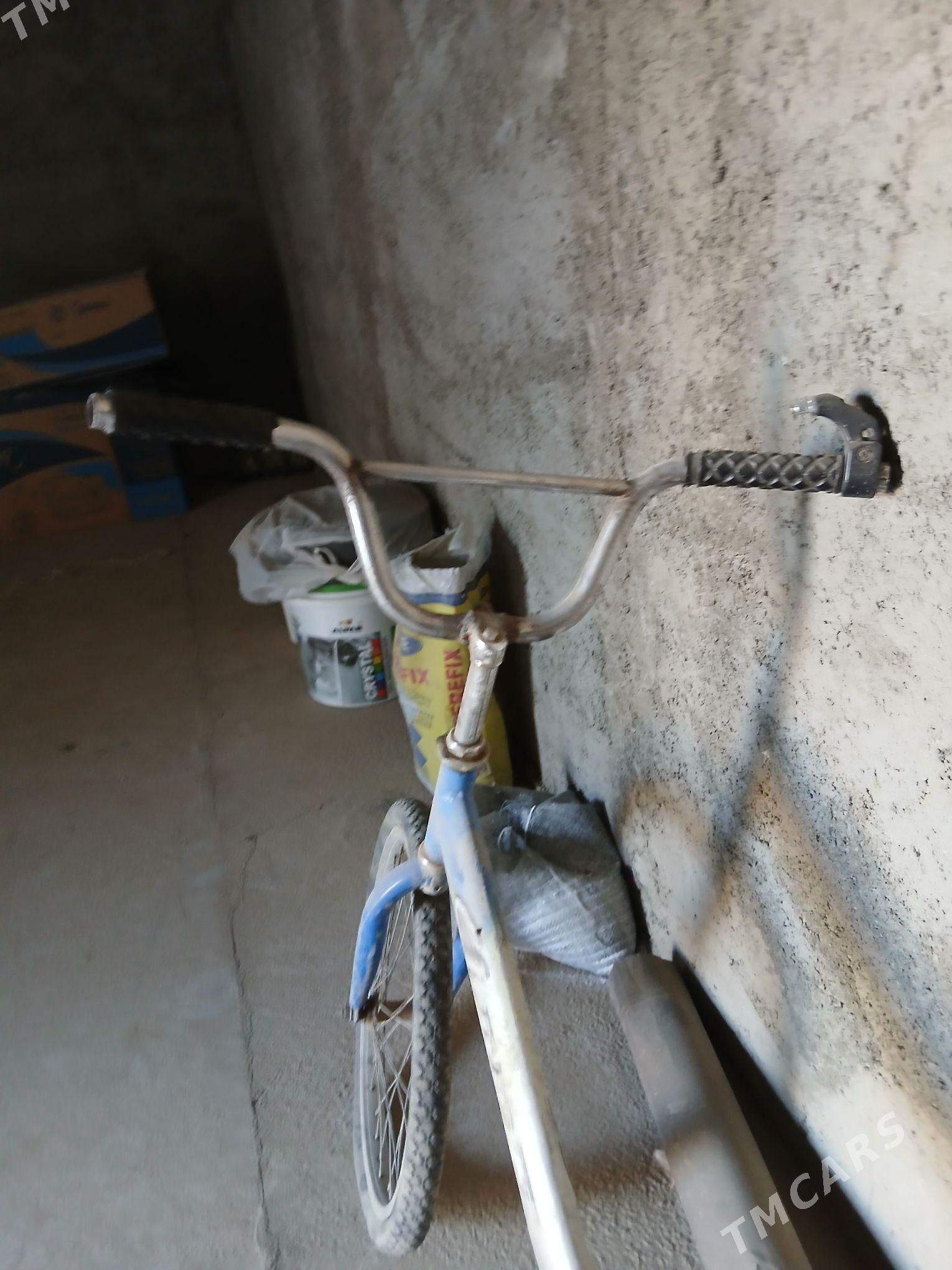 kama - Кака - img 1