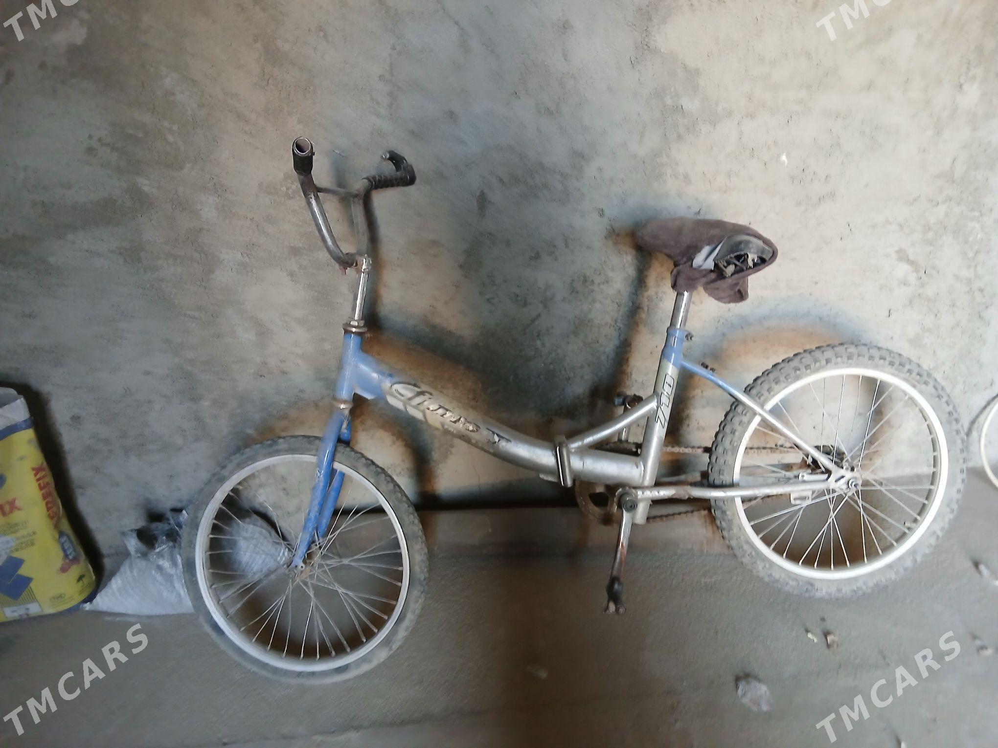 kama - Кака - img 2