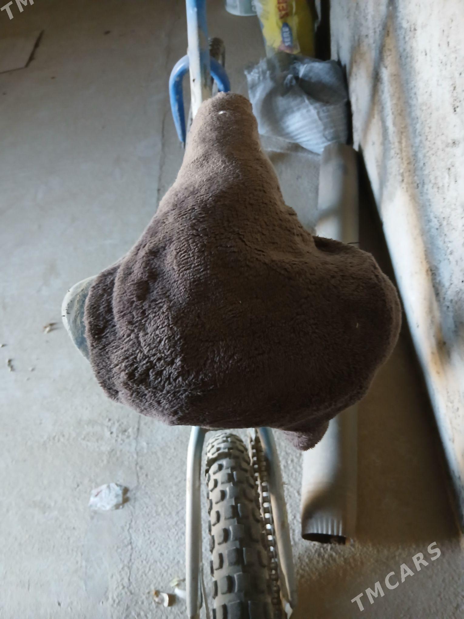 kama - Кака - img 3