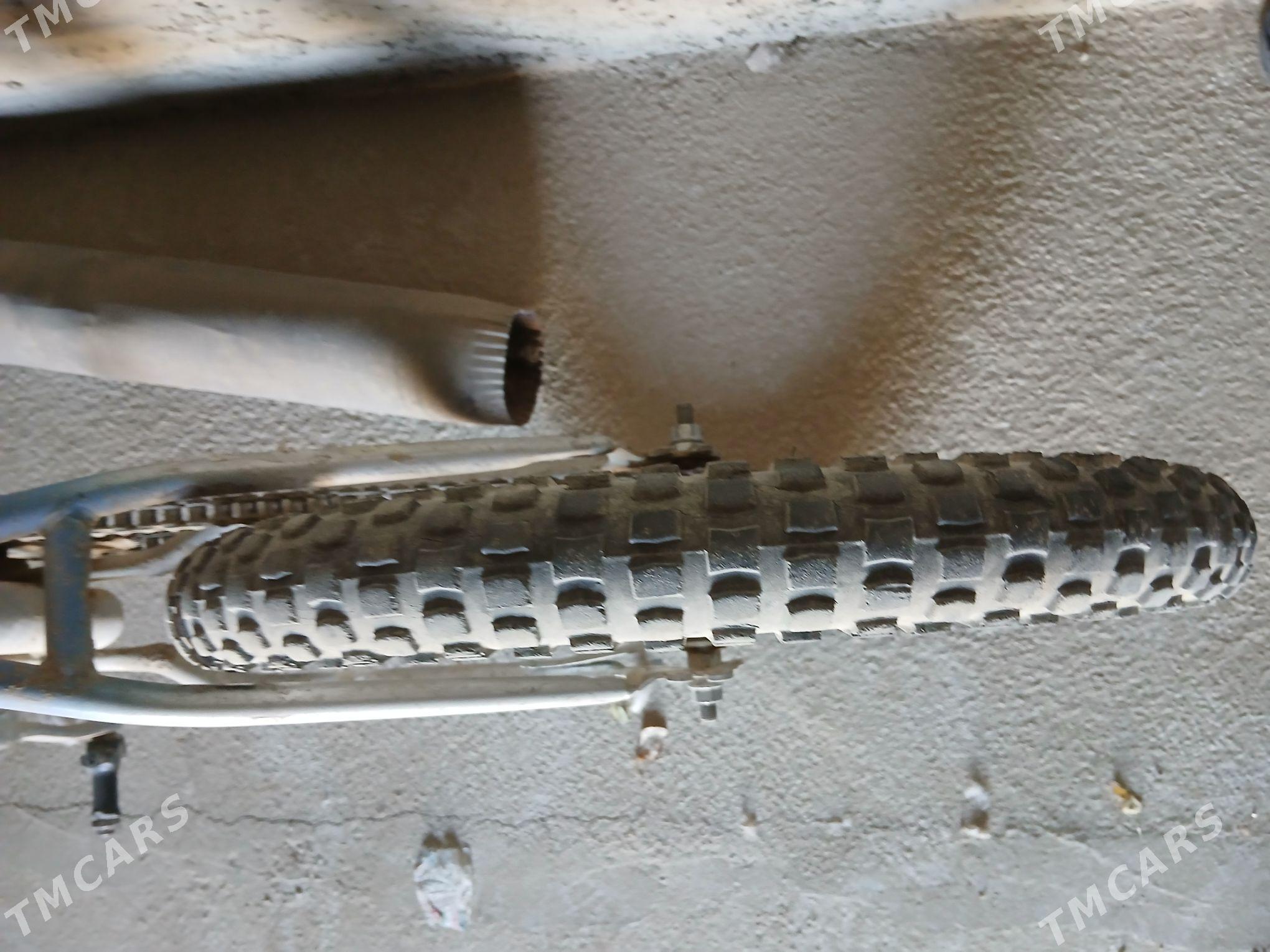 kama - Кака - img 5