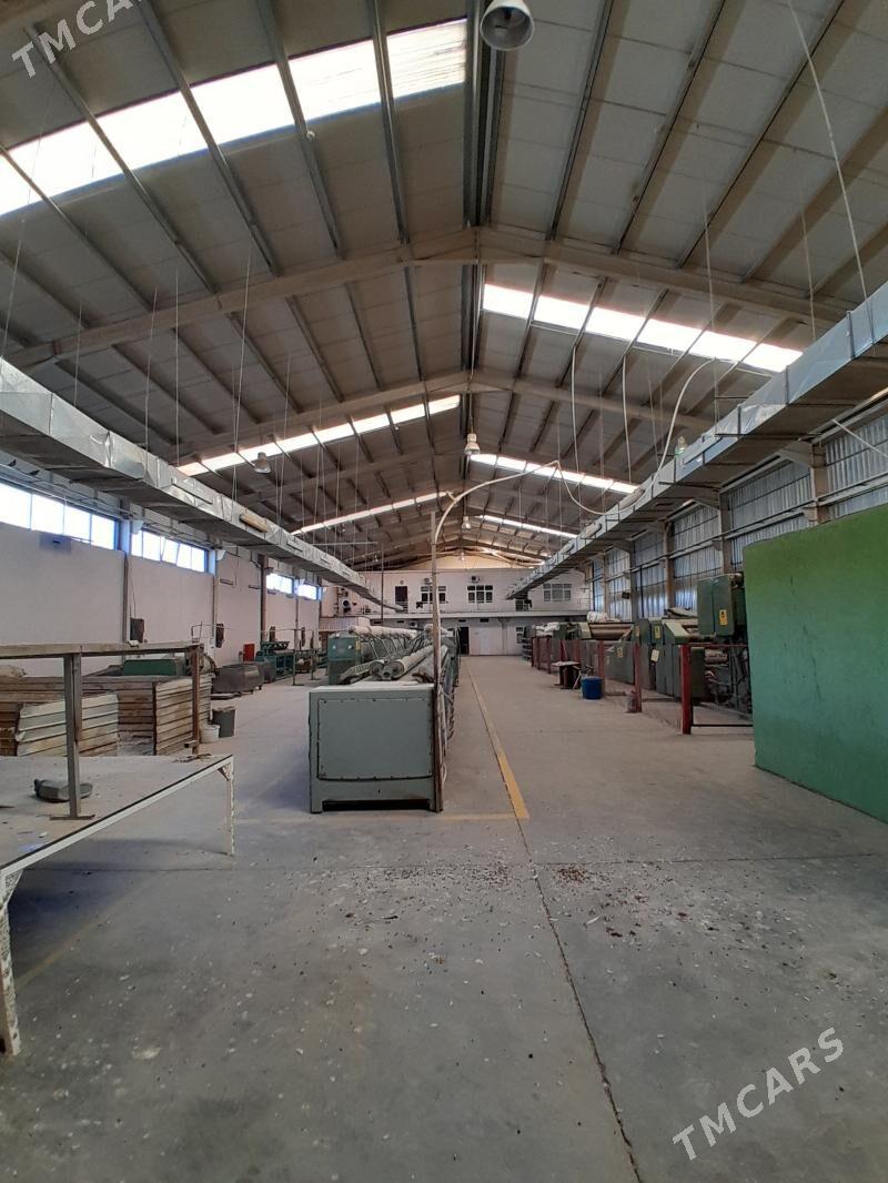 Satlyk yun̈ yupluk sehi - Ашхабад - img 6