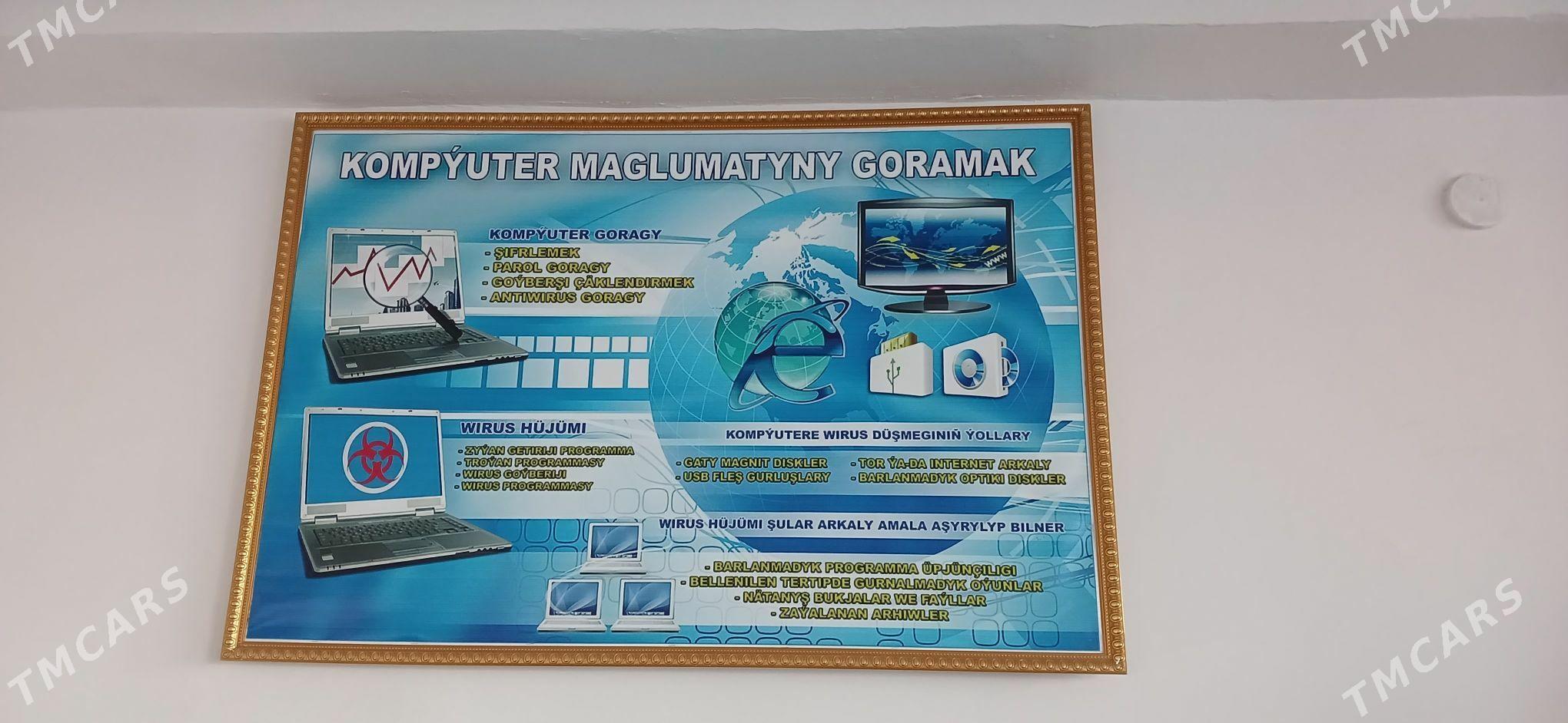 Synp atributlary - Daşoguz - img 2