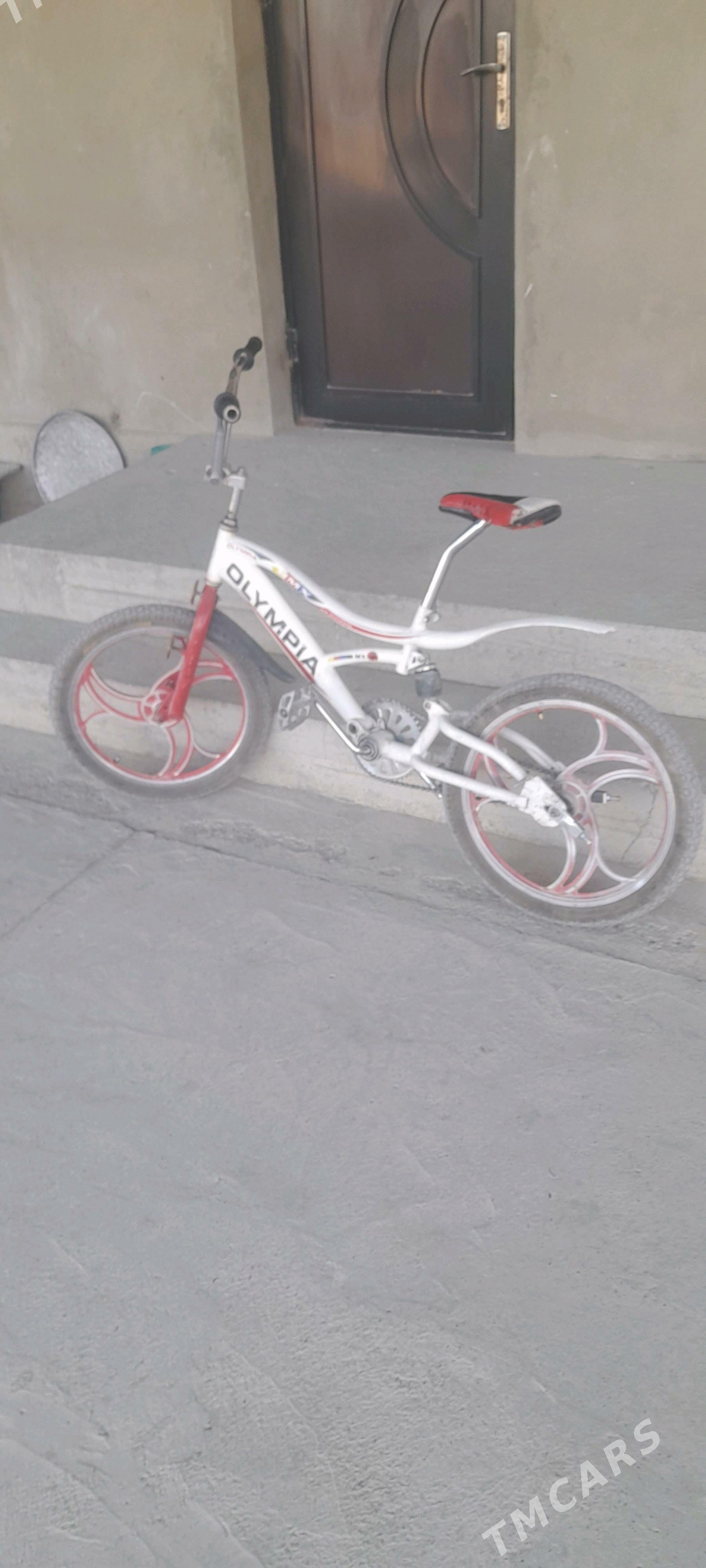 ОЛИМПИЯ тигир. - Бахарден - img 1