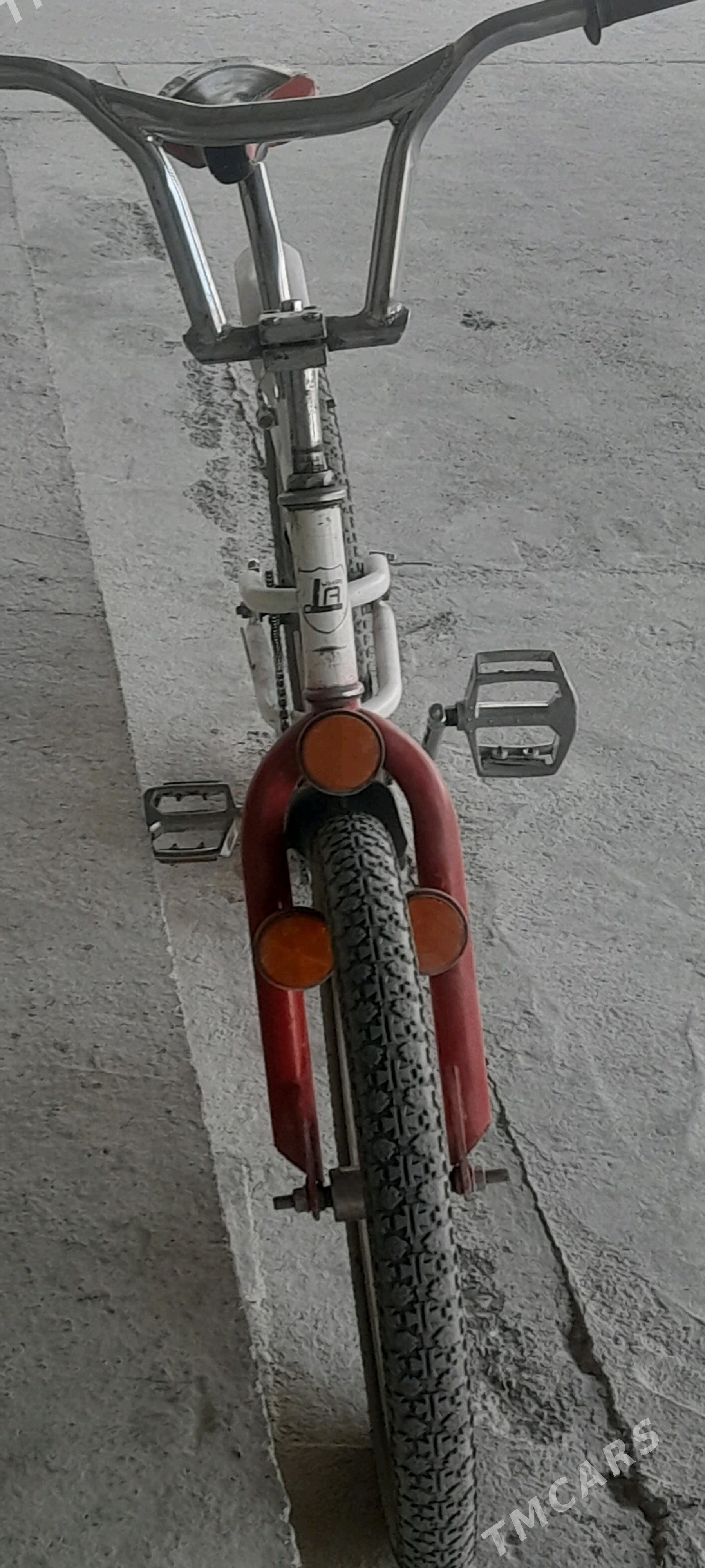 ОЛИМПИЯ тигир. - Бахарден - img 2