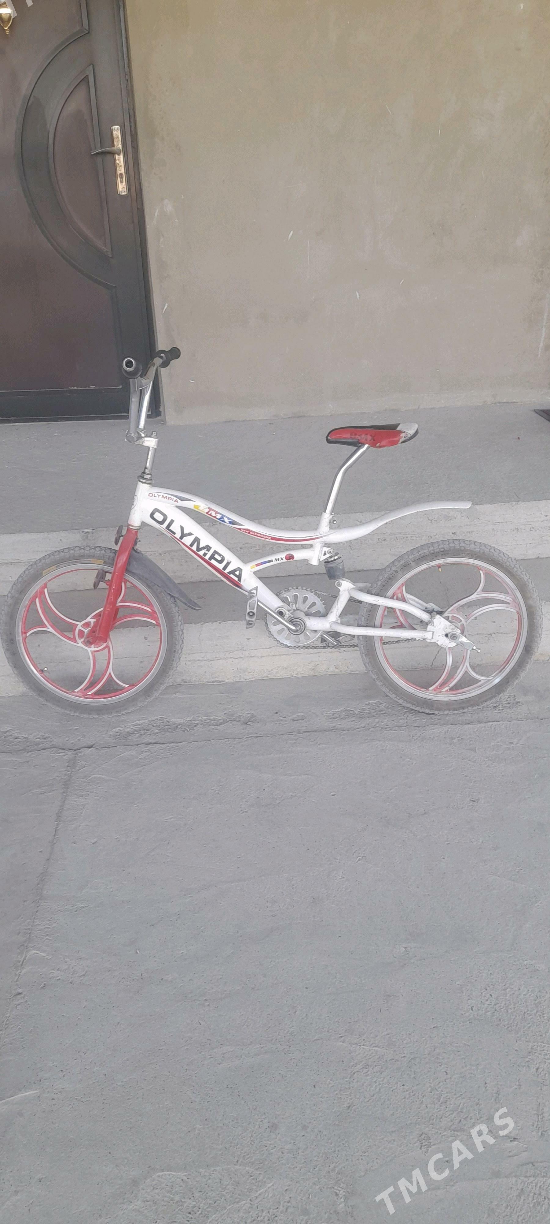 ОЛИМПИЯ тигир. - Бахарден - img 3