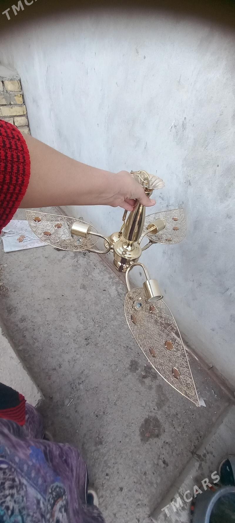 lyustra - Gurbansoltan Eje - img 2