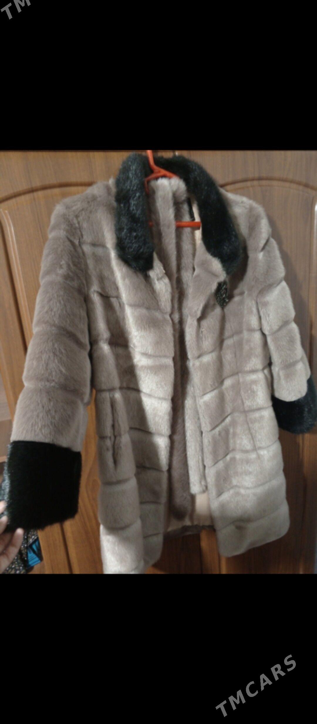 shuba - Balkanabat - img 1