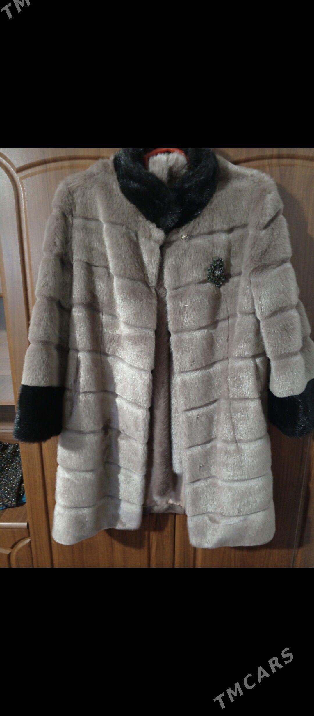 shuba - Balkanabat - img 2