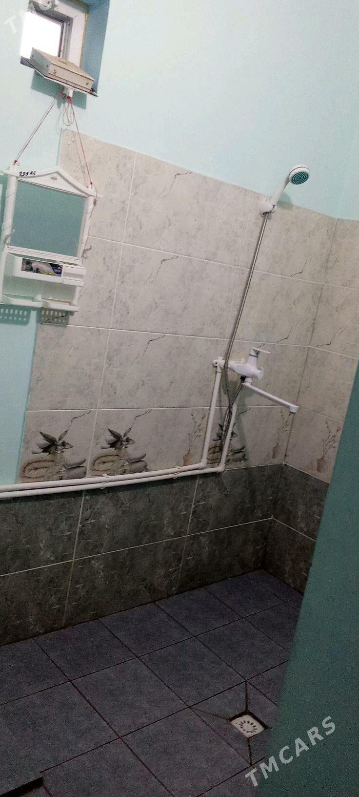 SATLYK JAY - Tejen - img 6