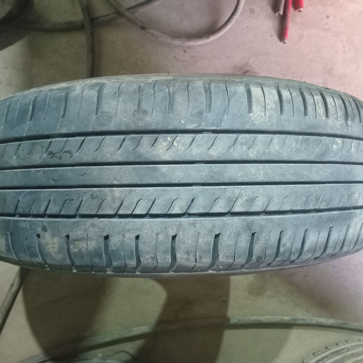 185.70.14.lik. trangel 260 TMT - Daşoguz - img 2