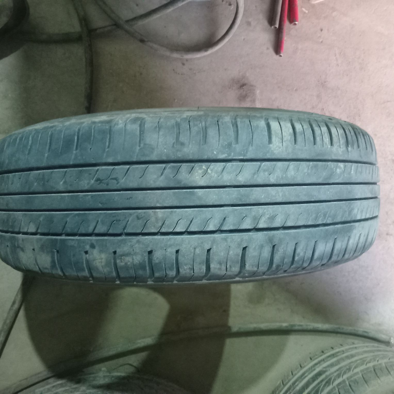 185.70.14.lik. trangel 260 TMT - Daşoguz - img 3