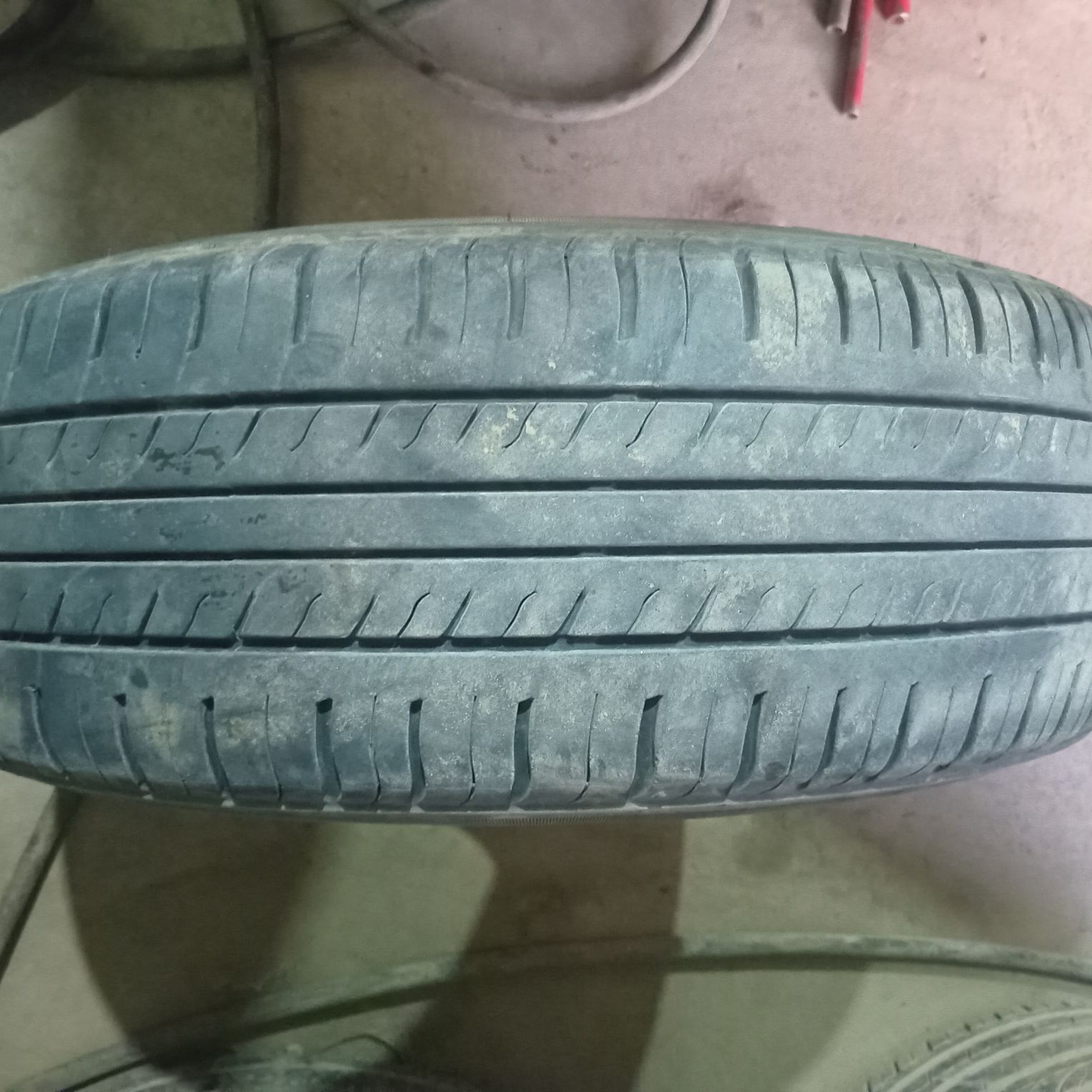 185.70.14.lik. trangel 260 TMT - Daşoguz - img 1