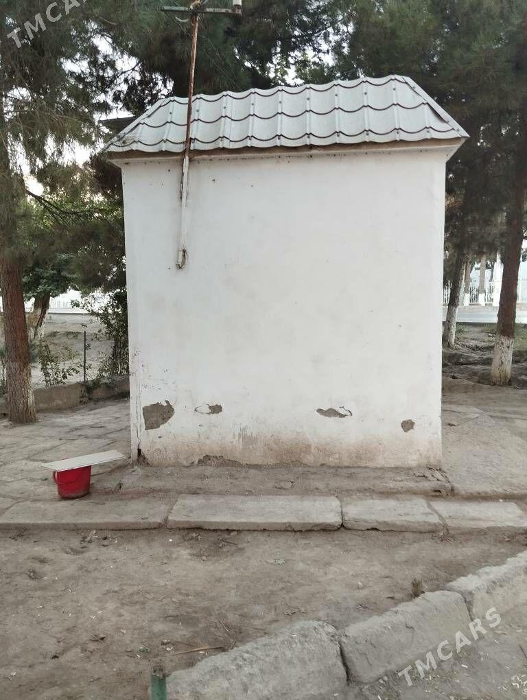 satlyk butka - Türkmenabat - img 3