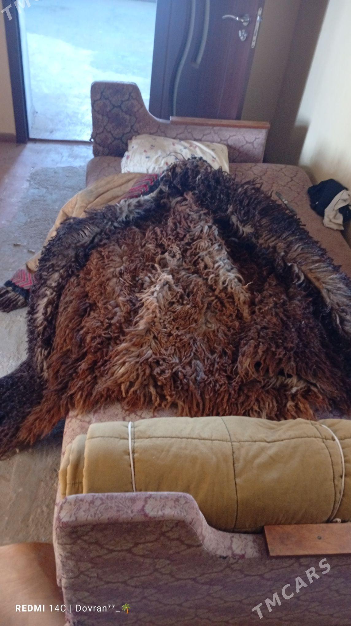 Picmek - Türkmenbaşy - img 2