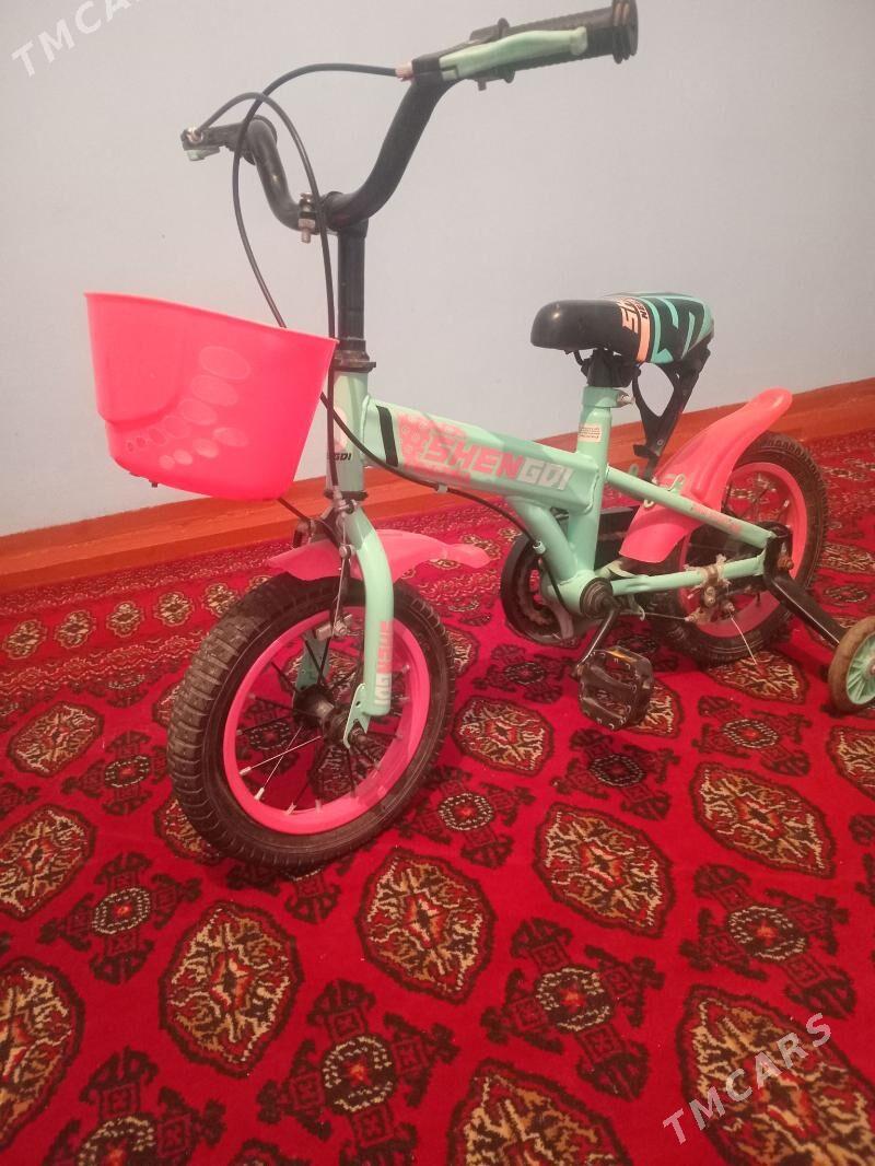 Welsepid - Daşoguz - img 3