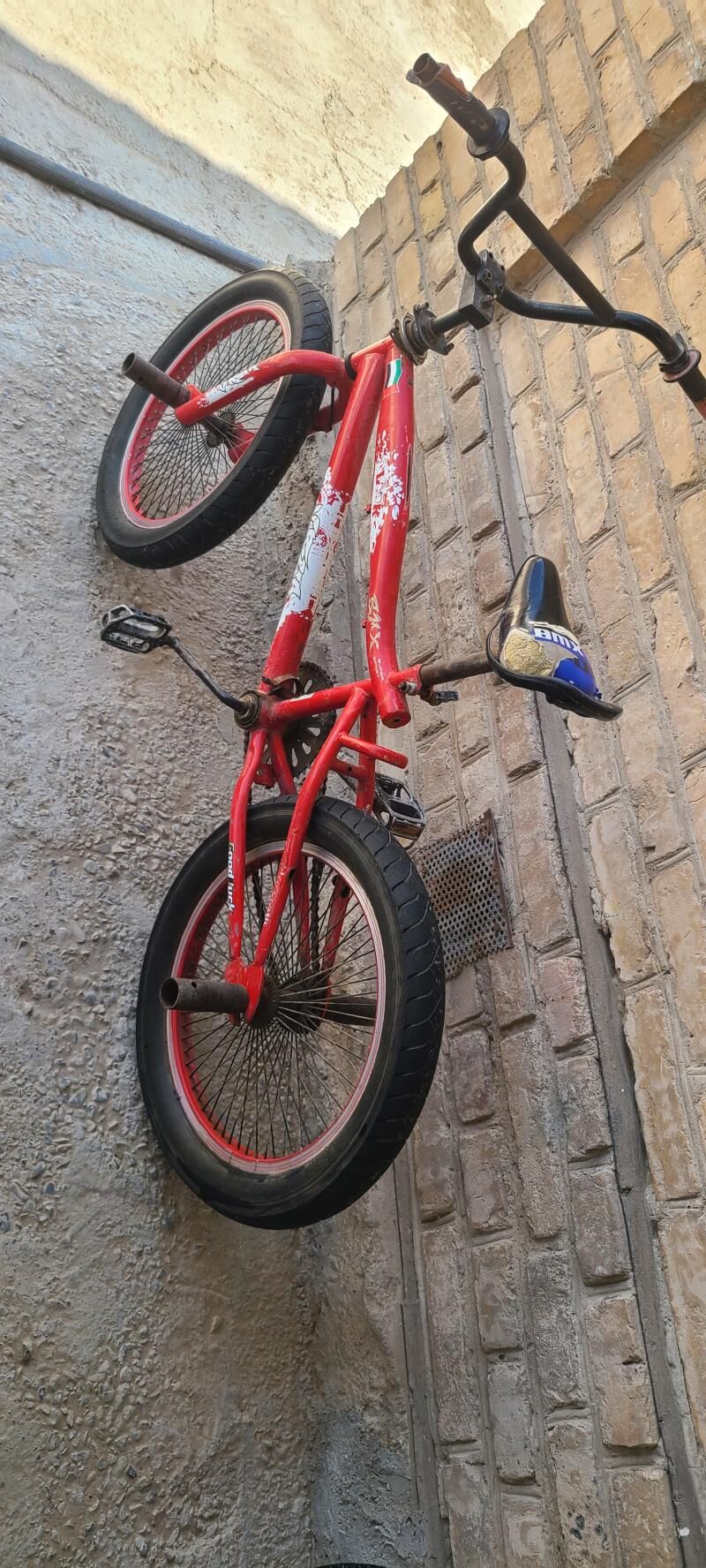 260 welsoped kama tigir welik - Mary - img 4