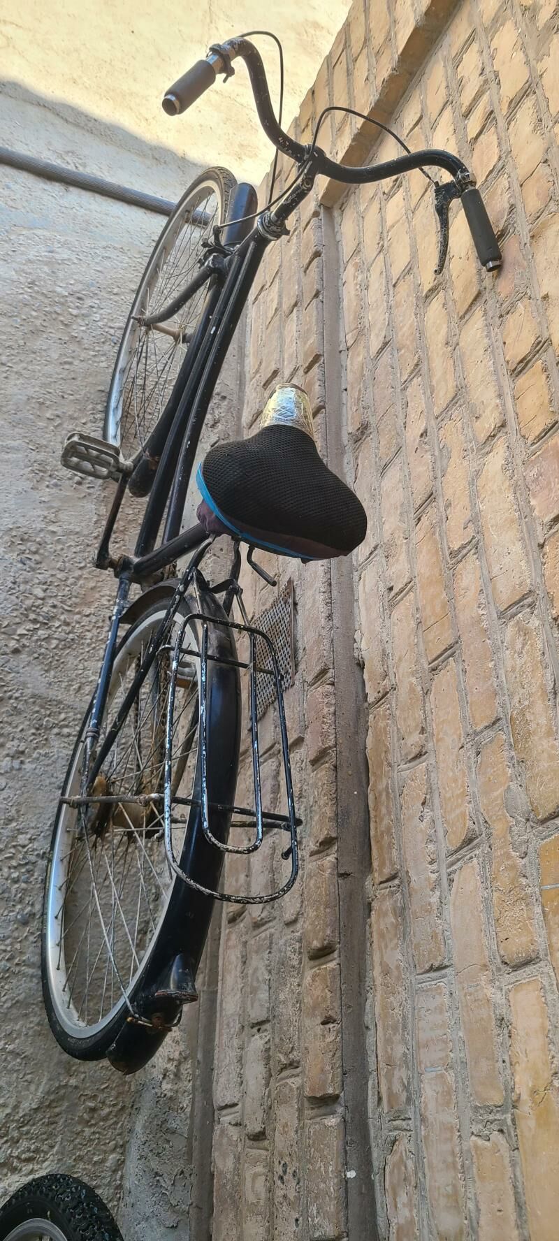 260 welsoped kama tigir welik - Mary - img 8